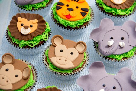 Monkey lion party