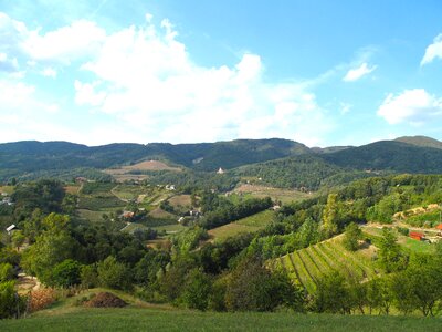 Scenic mountains forest photo