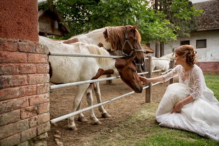 Bride ranch blonde hair