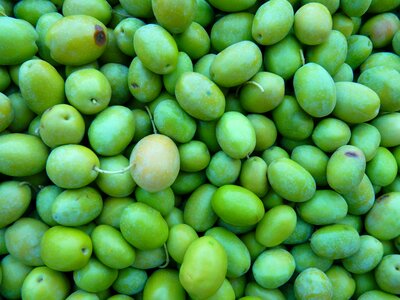 Fruits mediterranean drupe drupes