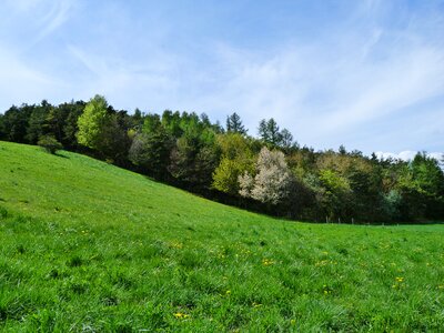Hills fields forest