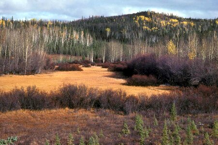 Autumn image 