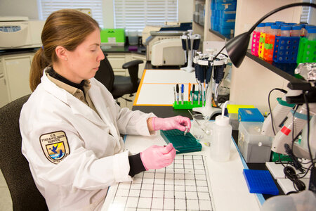 Geneticist at work in laboratory-2