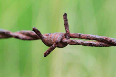 Metal rusty risk photo