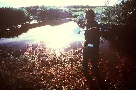 Array dipper process photo