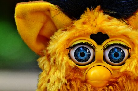 Soft toy toys children