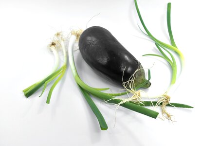 Chive eggplant leek