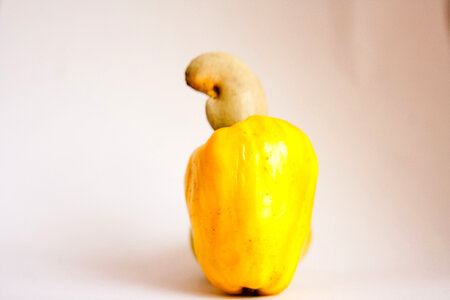Cashew Fruit