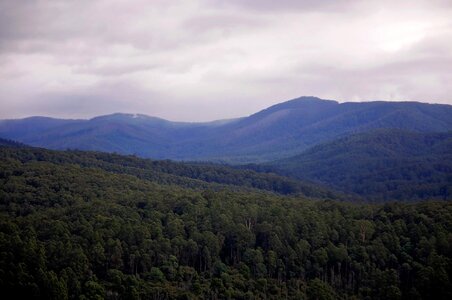 Abies clouds countryside