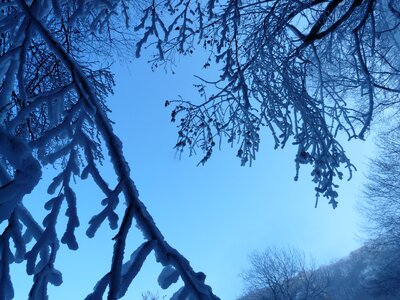 Hoarfrost iced ice photo