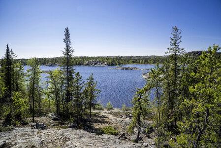 Looking at Vee Lake on a Clear Day with pine trees in Yellowknife photo