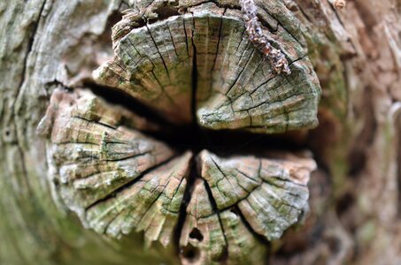Pile branching out fence post