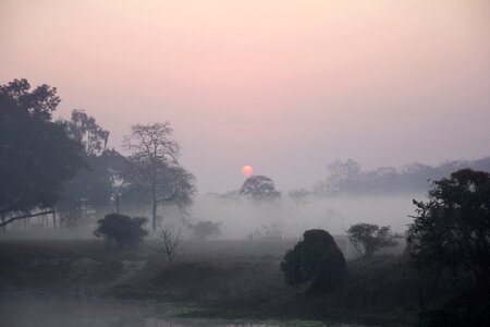 Morning nature sun