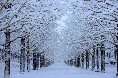 Snow winter fukushima