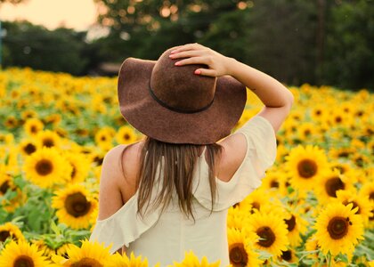 Woman Standing Back in Sunflowers Field photo