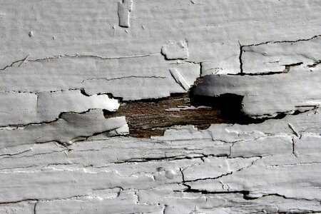 Paint plank white photo