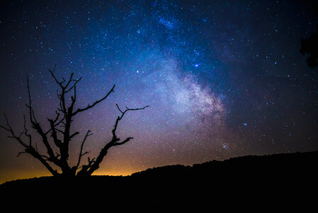 Sky at Night with Stars and Silhouette of a Tree photo