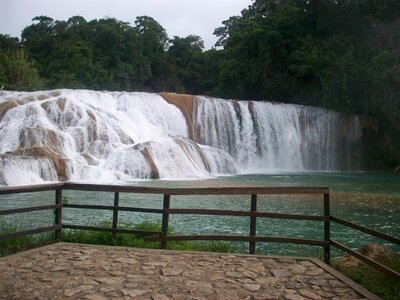 Mexico chiapas nature