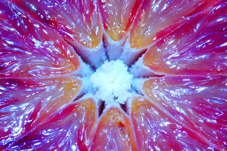 Cross section cells macro