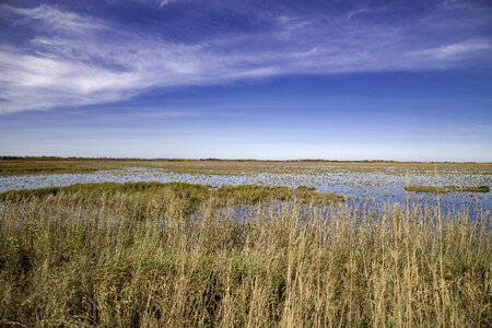 Wide Angle View of the Marsh and skies at Crex Meadows photo