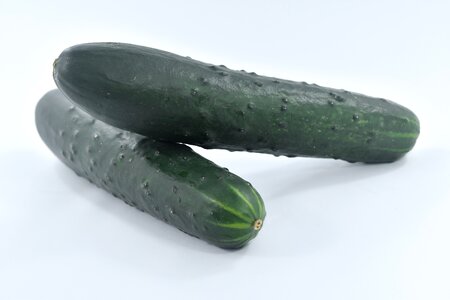 Cucumber fresh organic