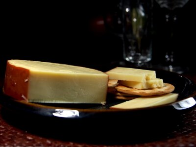 Milk product food ingredient