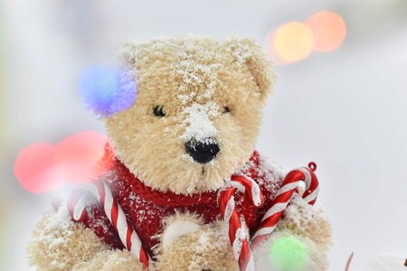 Teddy Bear Toy toys toyshop photo