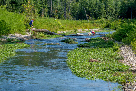 Kids playing on log in stream photo