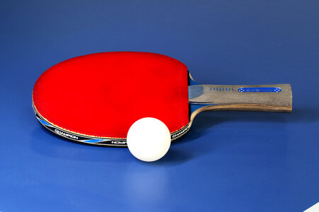 Table Tennis Paddle and Ball photo