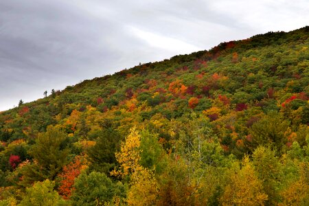 Autumn autumn season cloud