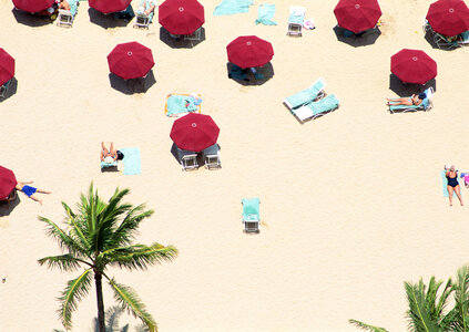 Aerial View of a Beach photo