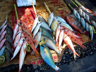 Fish market sale
