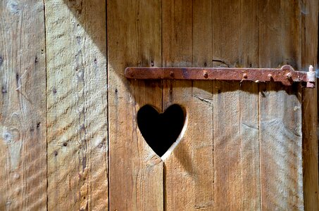 Heart toilet rusty