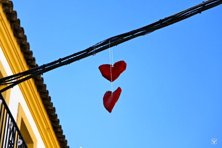 Red heart cable