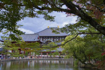 Todai-ji temple in Nara, Japan photo