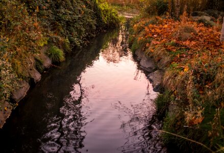 Autumn Leaves River Reflection Free Photo photo