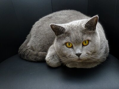 Lurking eyes curious