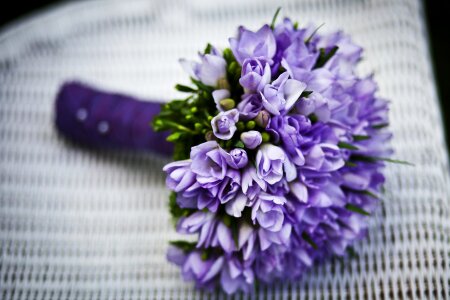Bouquet of flowers iris photo