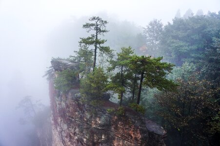 China zhangjiajie national park fog