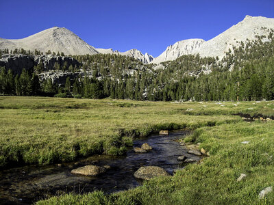 Crabtree Meadows in Sequoia National Park, California photo