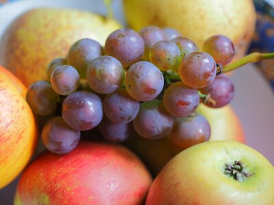 Healthy sweet vitamins