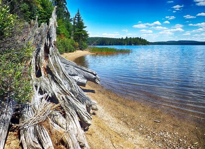 Nature ontario landscape