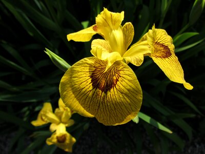 Nature colour natural