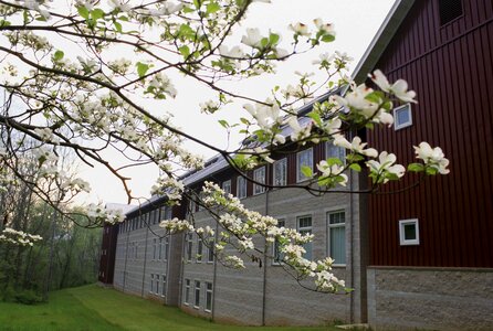 Blossoming home 