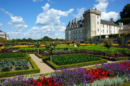 Castle Villandry Loire Garden French Flowers photo