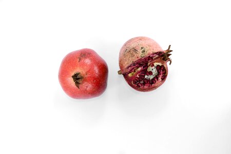 Cross Section detail pomegranate photo