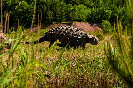 Dino extinct model