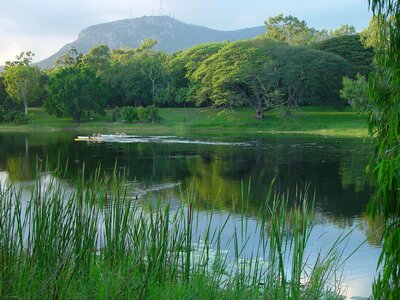 Grass Plants greenery lake