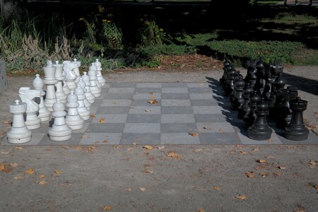 Black white chess game photo