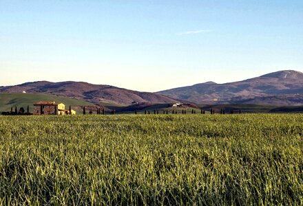 Agriculture crop fence